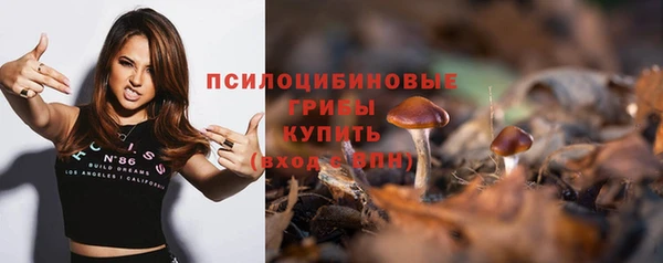 сатива Переславль-Залесский