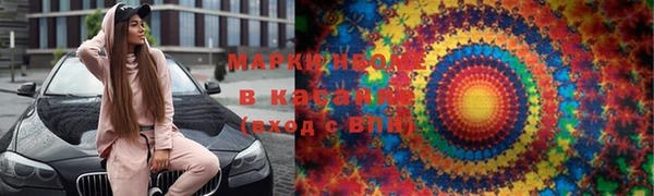 трава Пересвет