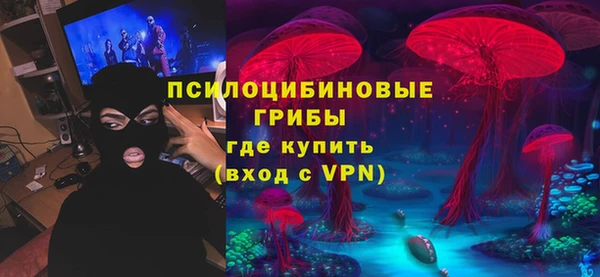 сатива Переславль-Залесский
