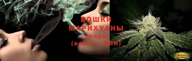 цены   Бодайбо  Бошки марихуана OG Kush 